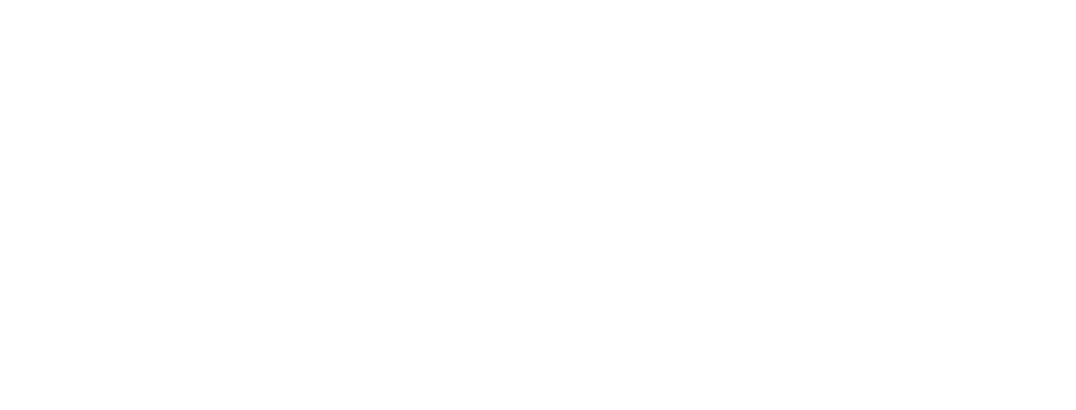 Plasera